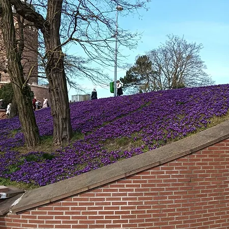 Ale Laba شقة كولوبرزيغ