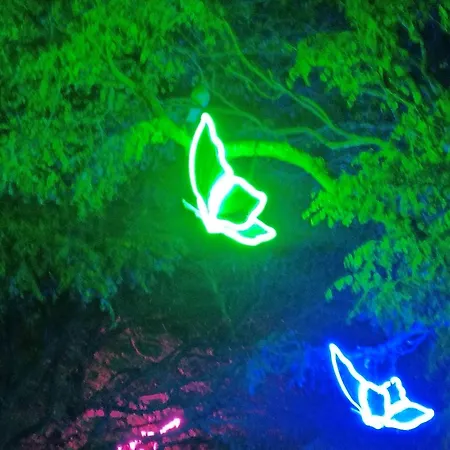 Ale Laba * كولوبرزيغ