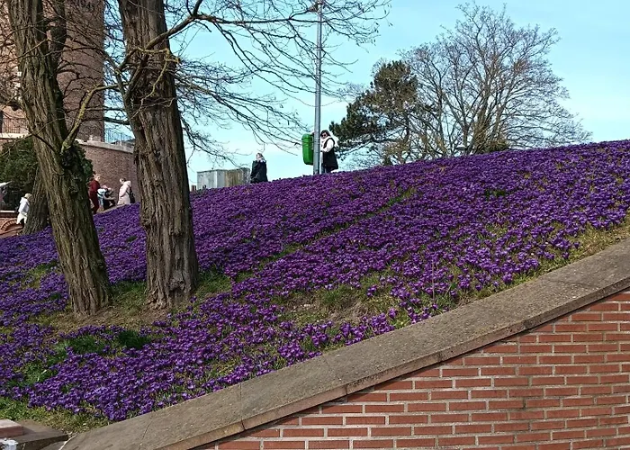 Ale Laba 아파트 코워브제크