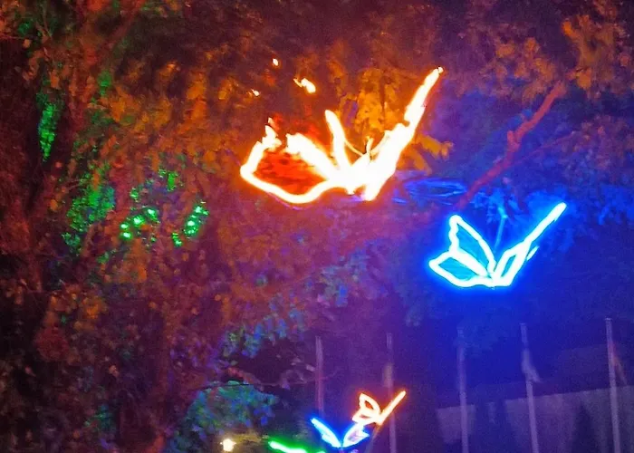 Ale Laba * 코워브제크