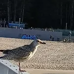 Ale Laba Lägenhet Kołobrzeg