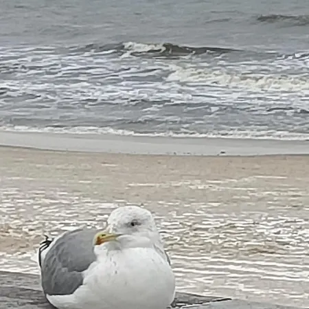 Apartamento Ale Laba *