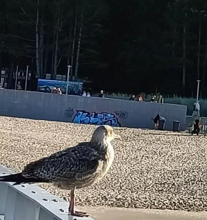 Apartmán Ale Laba *