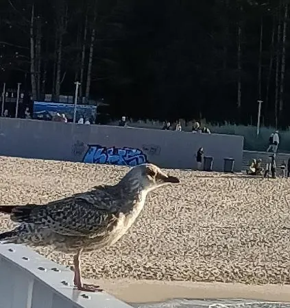 Ale Laba Apartamento Kołobrzeg