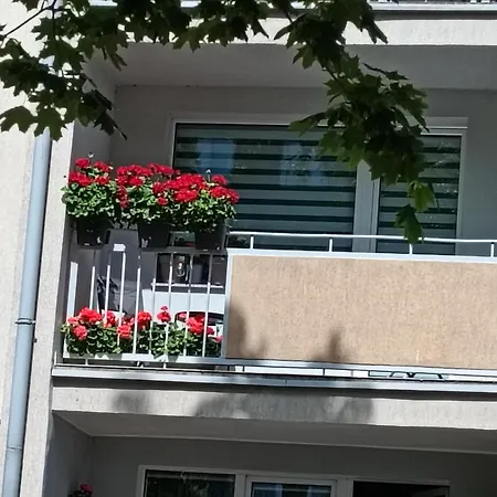 Ale Laba Apartamento