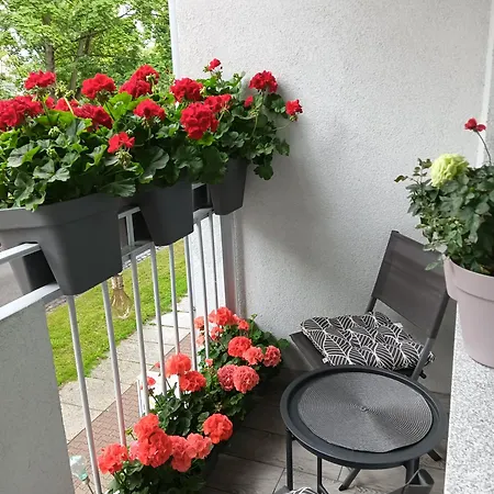 Apartment Ale Laba