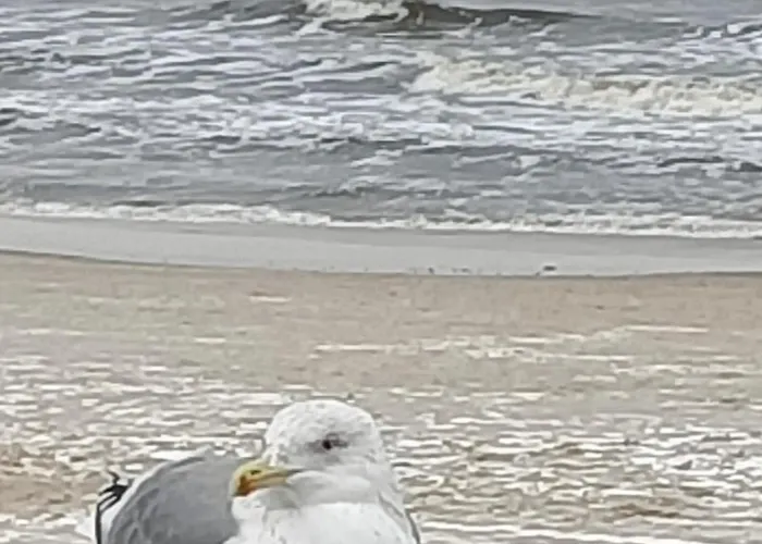 Apartamento Ale Laba *