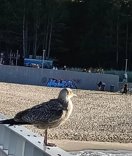 Apartment Ale Laba *