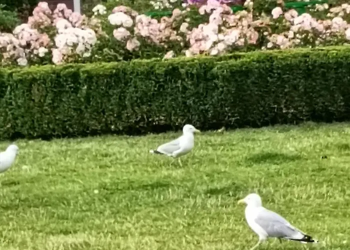 Ale Laba Apartment *