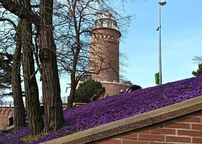 Ale Laba Apartamento *